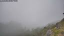 ./images/calvert/foggy-cove/20260621/foggy-cove20260621_175501M.jpg