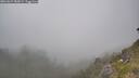 ./images/calvert/foggy-cove/20260621/foggy-cove20260621_180001M.jpg