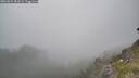 ./images/calvert/foggy-cove/20260621/foggy-cove20260621_181002M.jpg