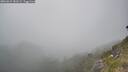 ./images/calvert/foggy-cove/20260621/foggy-cove20260621_181501M.jpg