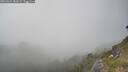 ./images/calvert/foggy-cove/20260621/foggy-cove20260621_182001M.jpg
