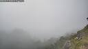 ./images/calvert/foggy-cove/20260621/foggy-cove20260621_183502M.jpg