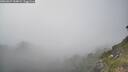 ./images/calvert/foggy-cove/20260621/foggy-cove20260621_184001M.jpg