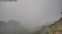 ./images/calvert/foggy-cove/20260621/foggy-cove20260621_185001M.jpg