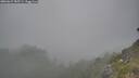 ./images/calvert/foggy-cove/20260621/foggy-cove20260621_185501M.jpg