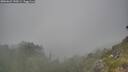 ./images/calvert/foggy-cove/20260621/foggy-cove20260621_190501M.jpg