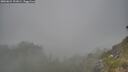 ./images/calvert/foggy-cove/20260621/foggy-cove20260621_191001M.jpg