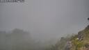 ./images/calvert/foggy-cove/20260621/foggy-cove20260621_191501M.jpg