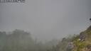 ./images/calvert/foggy-cove/20260621/foggy-cove20260621_192002M.jpg