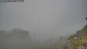 ./images/calvert/foggy-cove/20260621/foggy-cove20260621_192501M.jpg