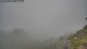 ./images/calvert/foggy-cove/20260621/foggy-cove20260621_193001M.jpg