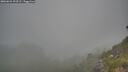 ./images/calvert/foggy-cove/20260621/foggy-cove20260621_193502M.jpg