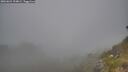 ./images/calvert/foggy-cove/20260621/foggy-cove20260621_194001M.jpg