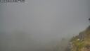./images/calvert/foggy-cove/20260621/foggy-cove20260621_194502M.jpg