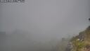 ./images/calvert/foggy-cove/20260621/foggy-cove20260621_200002M.jpg