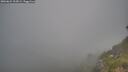 ./images/calvert/foggy-cove/20260621/foggy-cove20260621_202002M.jpg