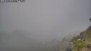 ./images/calvert/foggy-cove/20260621/foggy-cove20260621_202501M.jpg
