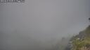 ./images/calvert/foggy-cove/20260621/foggy-cove20260621_203001M.jpg