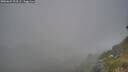 ./images/calvert/foggy-cove/20260621/foggy-cove20260621_203501M.jpg