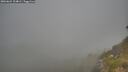 ./images/calvert/foggy-cove/20260621/foggy-cove20260621_204001M.jpg