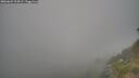 ./images/calvert/foggy-cove/20260621/foggy-cove20260621_204501M.jpg