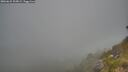 ./images/calvert/foggy-cove/20260621/foggy-cove20260621_205001M.jpg