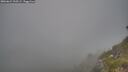 ./images/calvert/foggy-cove/20260621/foggy-cove20260621_210501M.jpg