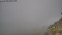./images/calvert/foggy-cove/20260621/foggy-cove20260621_211502M.jpg