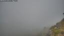 ./images/calvert/foggy-cove/20260621/foggy-cove20260621_212501M.jpg