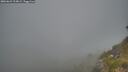./images/calvert/foggy-cove/20260621/foggy-cove20260621_213002M.jpg