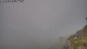 ./images/calvert/foggy-cove/20260621/foggy-cove20260621_213501M.jpg