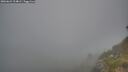 ./images/calvert/foggy-cove/20260621/foggy-cove20260621_214002M.jpg