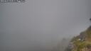 ./images/calvert/foggy-cove/20260621/foggy-cove20260621_214501M.jpg