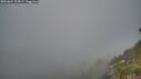 ./images/calvert/foggy-cove/20260621/foggy-cove20260621_215001M.jpg