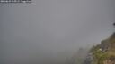 ./images/calvert/foggy-cove/20260621/foggy-cove20260621_215501M.jpg