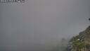 ./images/calvert/foggy-cove/20260621/foggy-cove20260621_221501M.jpg