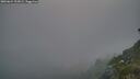 ./images/calvert/foggy-cove/20260621/foggy-cove20260621_222001M.jpg