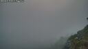 ./images/calvert/foggy-cove/20260621/foggy-cove20260621_222501M.jpg