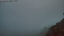 ./images/calvert/foggy-cove/20260621/foggy-cove20260621_223501M.jpg