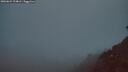 ./images/calvert/foggy-cove/20260621/foggy-cove20260621_224001M.jpg