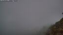 ./images/calvert/foggy-cove/20260622/foggy-cove20260622_044001M.jpg