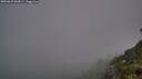 ./images/calvert/foggy-cove/20260622/foggy-cove20260622_044501M.jpg