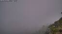 ./images/calvert/foggy-cove/20260622/foggy-cove20260622_045001M.jpg