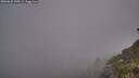./images/calvert/foggy-cove/20260622/foggy-cove20260622_045501M.jpg