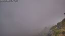 ./images/calvert/foggy-cove/20260622/foggy-cove20260622_050001M.jpg