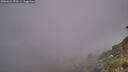 ./images/calvert/foggy-cove/20260622/foggy-cove20260622_050501M.jpg