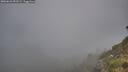 ./images/calvert/foggy-cove/20260622/foggy-cove20260622_051501M.jpg