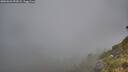 ./images/calvert/foggy-cove/20260622/foggy-cove20260622_052001M.jpg