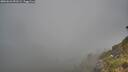 ./images/calvert/foggy-cove/20260622/foggy-cove20260622_052501M.jpg