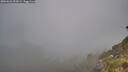 ./images/calvert/foggy-cove/20260622/foggy-cove20260622_053002M.jpg